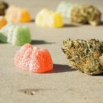 Why Do D9 Gummies Last Longer Than Smoking